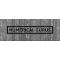 Numerical Gurus